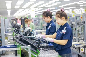 Từ bài học Hàn Quốc, Đài Loan: Làm gì để doanh nghiệp tư nhân Việt Nam không còn ‘gia công giá trị thấp’?