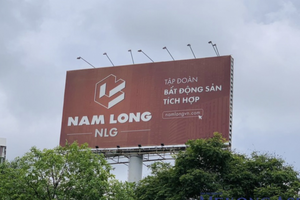 Một đại gia bất động sản Việt đề cử gần nửa thành viên HĐQT là người nước ngoài