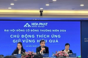 Cổ đông chất vấn kế hoạch kinh doanh thấp hơn BAF và Dabaco, lãnh đạo Nông nghiệp Hòa Phát (HPA) lên tiếng