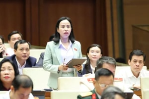 Đại biểu Quốc hội vừa có kiến nghị về thuế TTĐB đối với xe điện