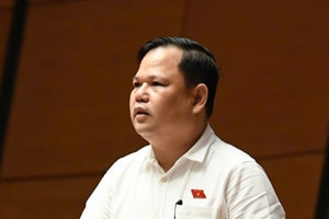 'Doanh thu 3 tỷ đồng mỗi năm, hộ kinh doanh chỉ lời 20 triệu/tháng...'