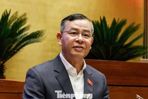 Bộ trưởng Tài chính: Ngưỡng doanh thu 1 tỷ đồng không phải nộp thuế 'hài hòa với thời điểm hiện nay'