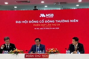 ĐHĐCĐ MSB: Tham vọng lãi 8.000 tỷ, chia cổ tức 20%