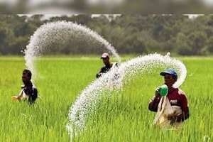 Một doanh nghiệp phân bón báo lãi 227 tỷ đồng, tăng đột biến 1.300% so với cùng kỳ