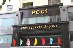 PC1 là lựa chọn của loạt quỹ đầu tư lớn gồm Dragon Capital, VinaCapital, VCBF… trước khi ‘cú sập’ diễn ra