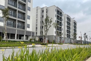 Hà Nội mở bán căn hộ NƠXH giá dưới 1 tỷ đồng/căn