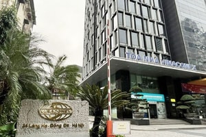 Vinaconex (VCG) vào diện thanh tra, Tổng Giám đốc nói gì?