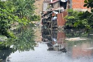 TP giàu nhất Việt Nam đầu tư gần 3.000 tỷ cải tạo môi trường hai tuyến rạch ô nhiễm