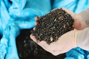 'Vàng đen' của Việt Nam đón tin vui mới từ Thái Lan, Mỹ