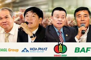 Nông nghiệp Hòa Phát, Dabaco, BAF tăng tốc mở rộng đàn heo, bầu Đức lại bất ngờ chọn 'phòng thủ'