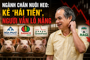 Cùng nuôi heo nhưng hai số phận: Hòa Phát, Dabaco, GreenFeed lãi đậm, bầu Đức ngậm ngùi chịu lỗ