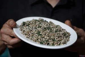 'Cháy hàng' với giá 300.000 đồng/kg: Người dân Quảng Trị đổ xô đi săn 'hạt ngọc rừng', ăn vào có thể sưng môi phù mặt