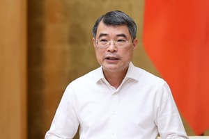 Thủ tướng Lê Minh Hưng: Tránh tình trạng cắt thủ tục này lại 'mọc' thủ tục khác