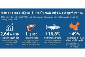 Xuất khẩu thủy sản, rau quả có thể tăng thêm 2 tỷ USD