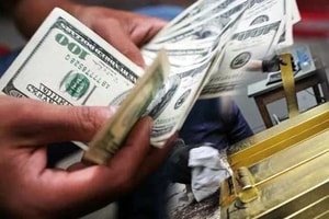 Được mời đầu tư ngoại hối online, chị Đ. sinh năm 1991 mất trắng hàng trăm triệu đồng