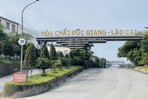 Hóa chất Đức Giang (DGC) đề cử cán bộ phòng lên làm Thành viên HĐQT