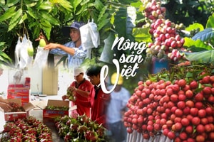 Việt Nam 'hái' ra tiền nhờ xuất khẩu mặt hàng này: 4 tháng bỏ túi 5,4 tỷ USD tiền lãi