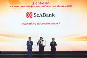 SeABank lần thứ 7 vào FAST500, củng cố nền tảng tăng trưởng bền vững