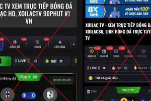 Chính phủ yêu cầu triệt phá các website vi phạm bản quyền