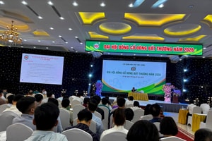 Lãnh đạo Hóa chất Đức Giang (DGC): Làm bất động sản rất khó khăn, chúng tôi không có định hướng đi ngoài ngành