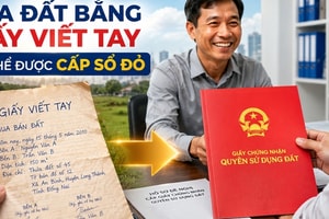 Người dân mua đất bằng giấy viết tay đón tin vui lớn: Có thể được cấp sổ đỏ nếu đáp ứng điều kiện này