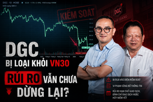 Cổ phiếu Hóa chất Đức Giang (DGC) chưa hết rủi ro sau khi bị loại khỏi VN30