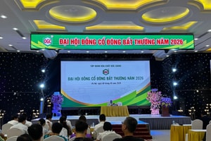 ĐHĐCĐ bất thường Hoá chất Đức Giang (DGC): Sai phạm của cá nhân lãnh đạo thì lấy tiền đâu để giải quyết?