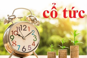 Lãi kỷ lục, một doanh nghiệp khu công nghiệp chi gần nghìn tỷ trả cổ tức tỷ lệ 40%