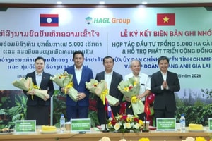 Tin tưởng bầu Đức sẽ ‘nói thật, làm thật’, lãnh đạo Lào giao thẳng 5.000ha đất cho HAGL trồng cà phê
