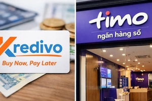 Kredivo mua Timo, MSB giữ TNEX: Điều gì khiến ngân hàng số Việt Nam nóng trở lại?