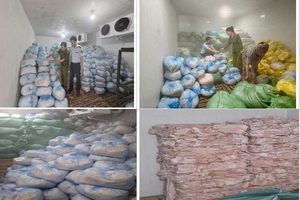 Khám xét 2 kho hàng, tịch thu 14 tấn bì lợn trị giá 400 triệu đồng ở Thanh Hóa