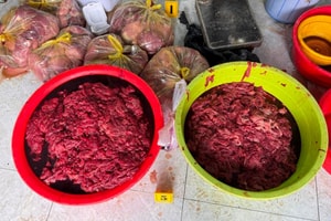 Bắt đối tượng dùng huyết heo và hóa chất 'phù phép' hơn 65 tấn thịt heo thành thịt bò ra thị trường, thu lợi hàng tỷ đồng