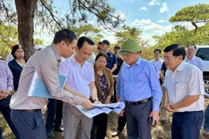 Chủ tịch Gia Lai ra chỉ đạo ngay trên 'đại công trường' 20.000 tỷ của ông Trịnh Văn Quyết