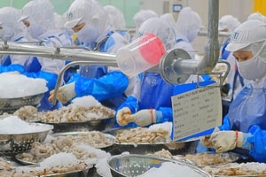 Khuyến cáo với doanh nghiệp xuất khẩu sang Mỹ