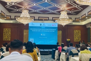 Lãnh đạo VNX: Minh bạch tài chính là yêu cầu then chốt để nâng hạng thị trường