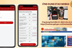 Hơn 95% hồ sơ hoàn thuế tự động, vì sao tiền chưa về tài khoản?