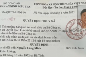 Bộ Công an kết thúc điều tra bổ sung 'đại án' cây xanh Công Minh