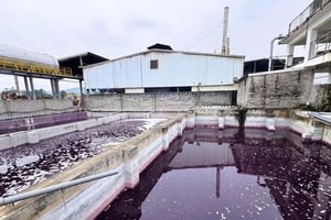 Một công ty giặt là lớn bị phạt hơn 1,5 tỷ đồng, buộc tháo dỡ toàn bộ hệ thống đường dẫn nước