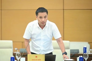 Ông Đậu Anh Tuấn: Vay vốn cứ dựa vào đất thì DN Việt rất khó làm đối tác chiến lược của FDI