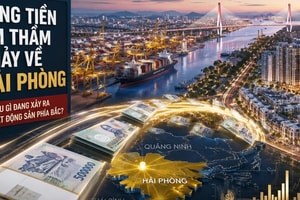 Dòng tiền âm thầm chảy về Hải Phòng: Điều gì đang xảy ra với bất động sản phía Bắc?