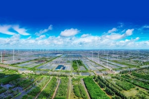 Không chuyển đổi xanh, doanh nghiệp Việt có nguy cơ bị loại khỏi chuỗi cung ứng