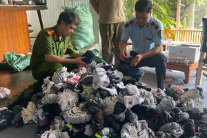Đột kích nhà ông N.V.M., tịch thu 5.300 đôi tất, 130 áo phông mang thương hiệu nổi tiếng