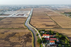 Bỏ cọc hàng loạt sau 'sốt' đấu giá đất vùng quê