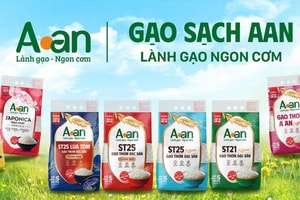 Cổ phiếu AAN ‘đổ bộ’ sàn HoSE: Khi hạt gạo Việt mang tiêu chuẩn toàn cầu chinh phục cuộc chơi lớn