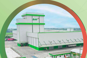 BAF vay 50 triệu USD từ định chế tài chính Hà Lan, thế chấp loạt công ty chăn nuôi chiến lược