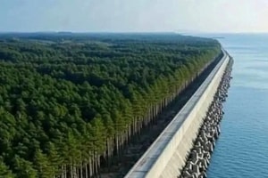 ‘Vạn Lý Trường Thành của Nhật Bản’ nằm dọc bờ biển: Cao như tòa nhà 5 tầng, kinh phí xây dựng 12 tỷ USD