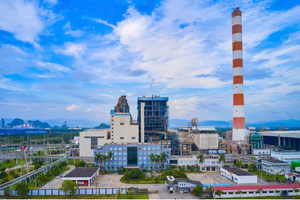 Chân dung Tổng Giám đốc Nhiệt điện Hải Phòng (HND) Dương Sơn Bá vừa bị khởi tố
