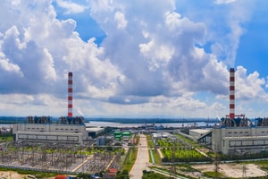 Tổng Giám đốc bị bắt, Nhiệt Điện Hải Phòng lập tức phát thông báo quan trọng