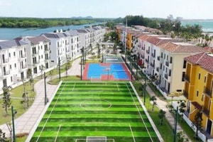 Doanh nghiệp 1 nhân sự của Novaland nợ thuế gần 130 tỷ đồng tại TP. HCM