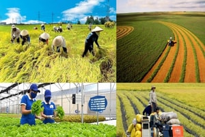 Lớn nhất từ trước đến nay: Bộ Nông nghiệp và Môi trường đề xuất 'xóa sổ' 100 quy định